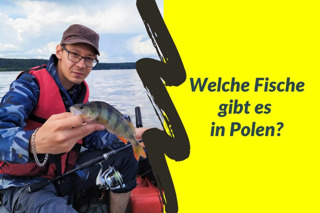 Fische in Polen -Masuren Reisebericht