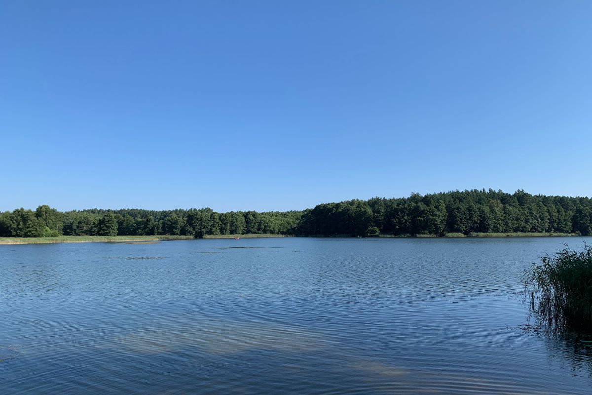 See Kalwa in Masuren