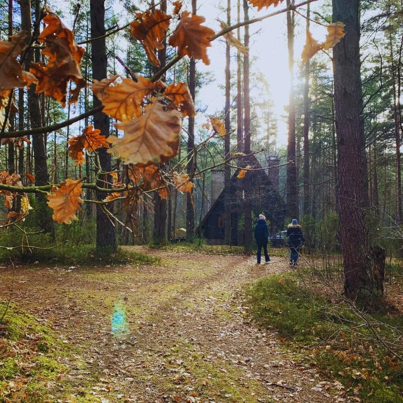 Einsame Hütte im Wald mieten - Ermland und Masuren